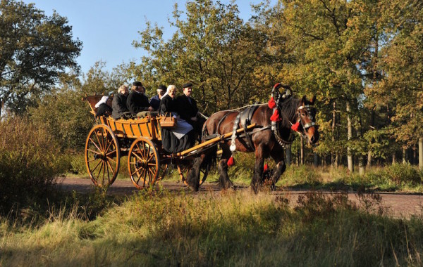 Luxe boerenwagen aanspanning